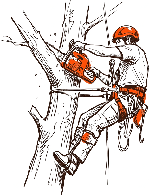 How Tree Service Contractors Get Paid Faster illustration